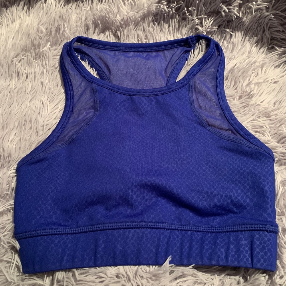 Tlf royal blue sports bra Xs